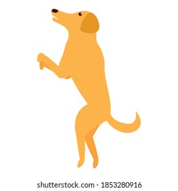 Dog jumping icon. Cartoon of dog jumping vector icon for web design isolated on white background