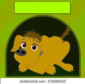 dog in the kennel.Cute brown dog in the doghouse with a blank name tag.Vector illustration