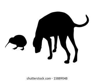 Dog and kiwi