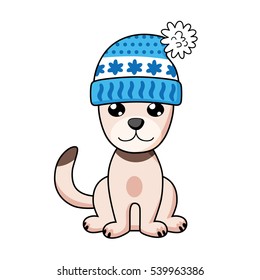 Dog in knitted hat isolated.