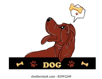 Dog label