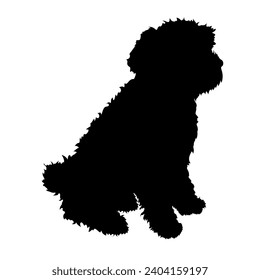 Dog Labradoodle silhouette Breeds Bundle Dogs on the move. Dogs in different poses. High quality 
The dog jumps,  runs. sitting. The dog is lying down playing