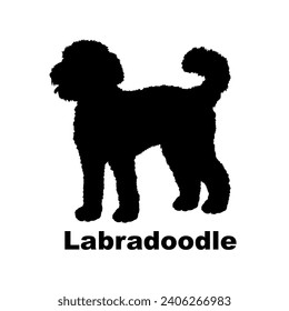 Dog Labradoodle silhouette Breeds Bundle Dogs on the move. Dogs in different poses.
The dog jumps, the dog runs. The dog is sitting lying down playing
