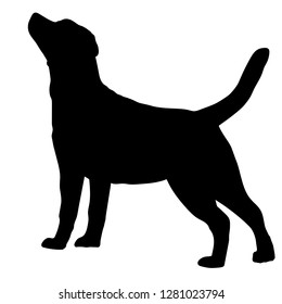 Dog Labrador Retriever breed on a white background. Silhouette. Vector illustration