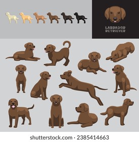 Juego de Variación de Color de la Ilustración del Vector de Caricatura de Chocolate Recuperador de Labrador de Perro