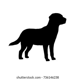 Labrador Silhouette Images Stock Photos Vectors Shutterstock