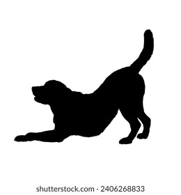 Dog Labrador stretches silhouette Breeds Bundle Dogs on the move. Dogs in different poses. jumps, the dog runs. The dog is sitting. The dog is lying down playing
