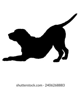 Dog Labrador stretches silhouette Breeds Bundle Dogs on the move. Dogs in different poses. jumps, the dog runs. The dog is sitting. The dog is lying down playing
