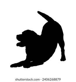 Dog Labrodore playing silhouette Breeds Bundle Dogs on the move. Dogs in different poses. jumps, the dog runs. The dog is sitting. The dog is lying down playing
