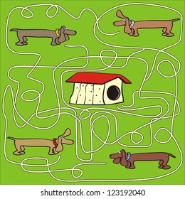 dog - labyrinth, find the right way to the house