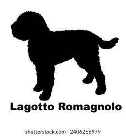 La silueta de perro Lagotto Romagnolo cría perros de paquete en movimiento. Perros en diferentes poses.
El perro salta, el perro corre. El perro está sentado tumbado jugando
