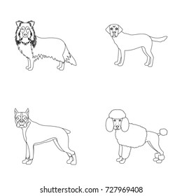 Dog, laika, beagle and other web icon in outline style.Poodle, animal, ears icons in set collection.