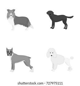 Dog, laika, beagle and other web icon in monochrome style.Poodle, animal, ears icons in set collection.