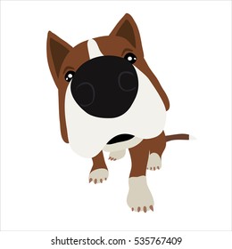 Dog with large head and nose. Vector Illustration.