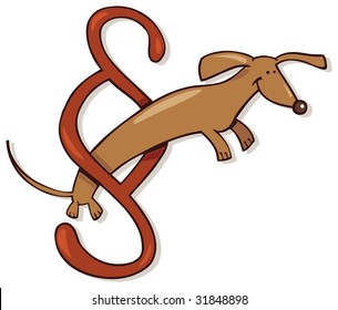 Dog and law