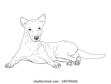 981 Dog Lying Down Stock Vectors, Images & Vector Art | Shutterstock