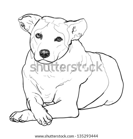 Dog Laying Down Sketch Sketch Coloring Page