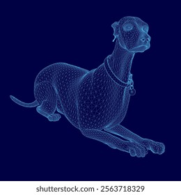 Dog is laying down on a blue background. The dog is wearing a collar and has a black nose