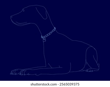 Dog is laying down on a blue background. The dog is wearing a collar. The dog is laying down in a relaxed position