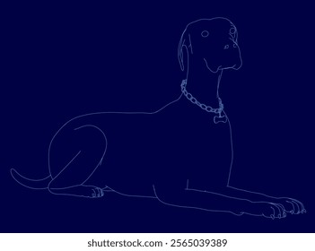 Dog is laying down on a blue background. The dog is wearing a collar. The dog is looking at the camera