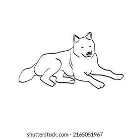 perro sobre la ilustración del suelo, mano vectorial dibujada aislada en el arte de la línea de fondo blanco.