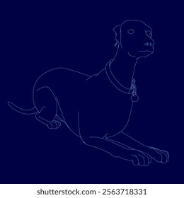 Dog is laying on the ground with its head up. The dog is wearing a collar and he is looking at the camera