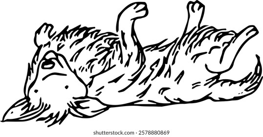 
Dog laying on playing . Domestic animal. Hand drawn vector isolated illustration doodle. 