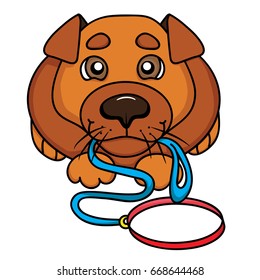 dog with leash waiting for a walk