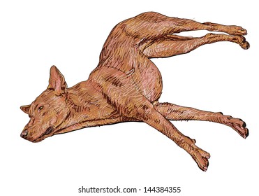 Dog lie leisurely on stretching it's leg pose.