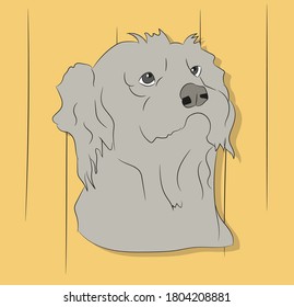 dog lies, dachshund brown, vector, bright background