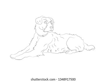 dog lies drawing lines, vector, white background