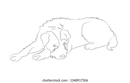 dog lies drawing lines, vector, white background