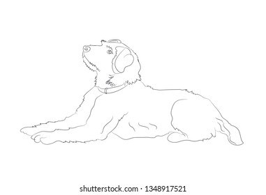 dog lies drawing lines, vector, white background