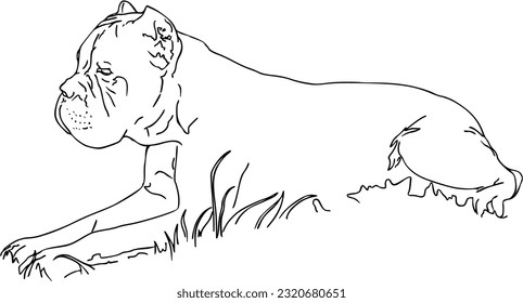 Dog lies in the grass pet animal doodle linear cartoon coloring