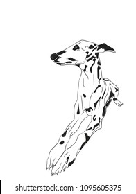 dog lies, lines, vector, white background