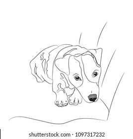 dog lies, lines, vector, white background