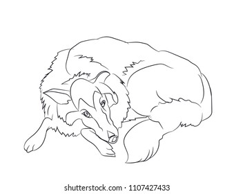 dog lies, lines, vector, white background