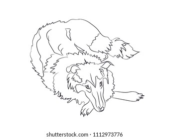 dog lies, lines, vector, white background