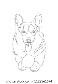 dog lies, lines, vector, white background