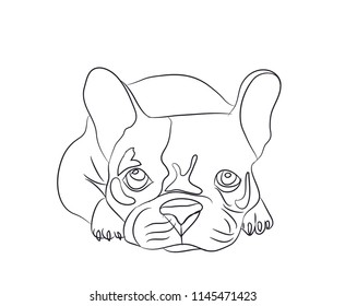 dog lies, lines, vector, white background