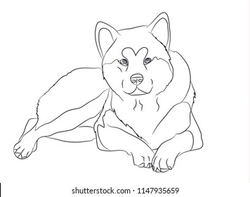 dog lies, lines, vector, white background