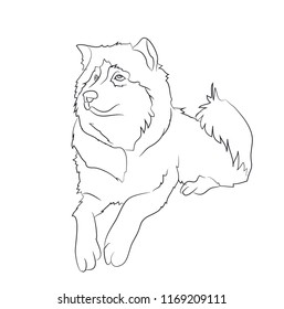 dog lies, lines, vector, white background, vector