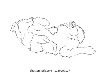 dog lies, lines, vector, white background, vector