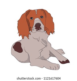 dog lies on the floor, vector, white background

