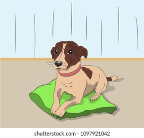 dog lies on pillow, vector, white background