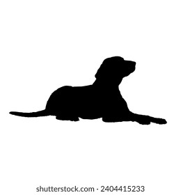 Dog lies silhouette Breeds Bundle Dogs on the move. Dogs in different poses.
The dog jumps, the dog runs. The dog is sitting lying down is playing
