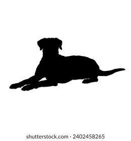 Dog lies  silhouette High quality  Breeds Bundle Dogs on the move. Dogs in different poses.
 jumps,  runs. dog is sitting. The dog is lying down. The dog is playing