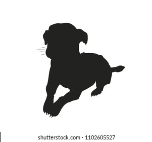 dog lies, silhouette, vector, white background
