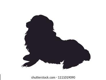dog lies, silhouette, vector, white background