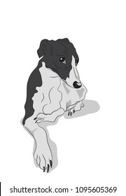 dog lies, vector, white background